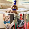 Sombrero de Cumpleaños para Perro Mascota Transfronterizo Decoración de Fiesta Tocado Set de Sombrero para Gato Cachorro Mascota Pajarita