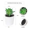 Más de 100 Tipos de Combinaciones de Plantas Suculentas Mini de Plástico Simuladas en Maceta, Mini Bonsáis Suculentos Más Vendidos Transfronterizos, Decoración para el Hogar, Adornos Creativos