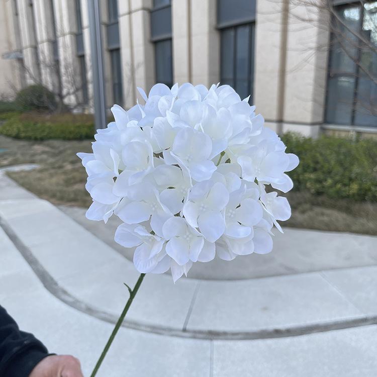 高枝中号如意绣球-sxlsx-白色.JPG