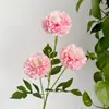 Peônia Artificial Crisântemo Multicolorido Arco de Casamento Arranjo de Flores Decoração Flores Artificiais Atacado Crisântemos Peônias