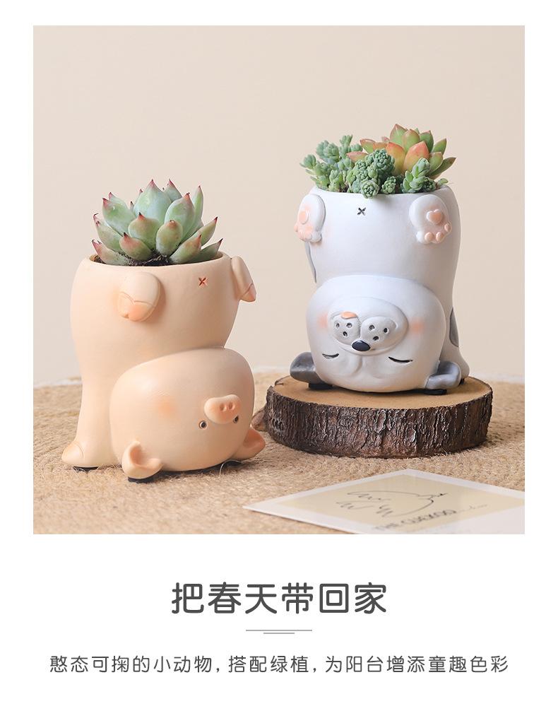 倒立的萌宠花盆R7B5E0_05.jpg