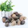 Pavimento de adoquines Five Jin, piedra de flor de lluvia, piedra original, pecera natural, paisajismo, decoración del hogar, jardín, piedra blanda de ganso, patio