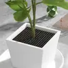 Cubierta de tierra hueca fijadora de suelo, anti-burbujas, a prueba de niños, a prueba de ratones, cubierta de tierra para macetas, a prueba de gatos, protección de raíces de plantas, cubierta de malla