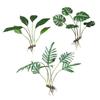 Decoración de pared de planta de simulación de interior, colgante de pared de planta verde, eneldo verde, caparazón de tortuga, maranta, colgante de pared de fondo para el hogar, hoja verde