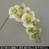 Flores de Orquídea Realistas de 38 pulgadas de Amazon para Fondos de Boda y Decoraciones Florales Orquídeas Artificiales