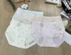Ropa Interior para Mujer Estilo Nuevo Modal Cintura Media Moda Cómodo Sencillo Bragas para Chicas Estudiantes de Secundaria Precio Especial Mayoreo