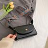 Bolso bandolera de diseño nicho 2024 nuevo bolso de moda de otoño e invierno para mujer, versátil, con correa ancha para el hombro, moderno bolso cuadrado pequeño