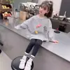 Sudadera para Niña Otoño 2026 Estilo Nuevo 3D Gris Caramelo Manga Larga Primavera y Otoño Casual Infantil Dulce Ins Top