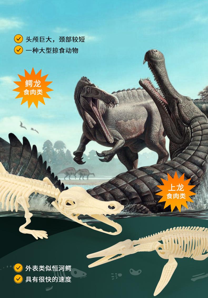 详情页 (11).jpg