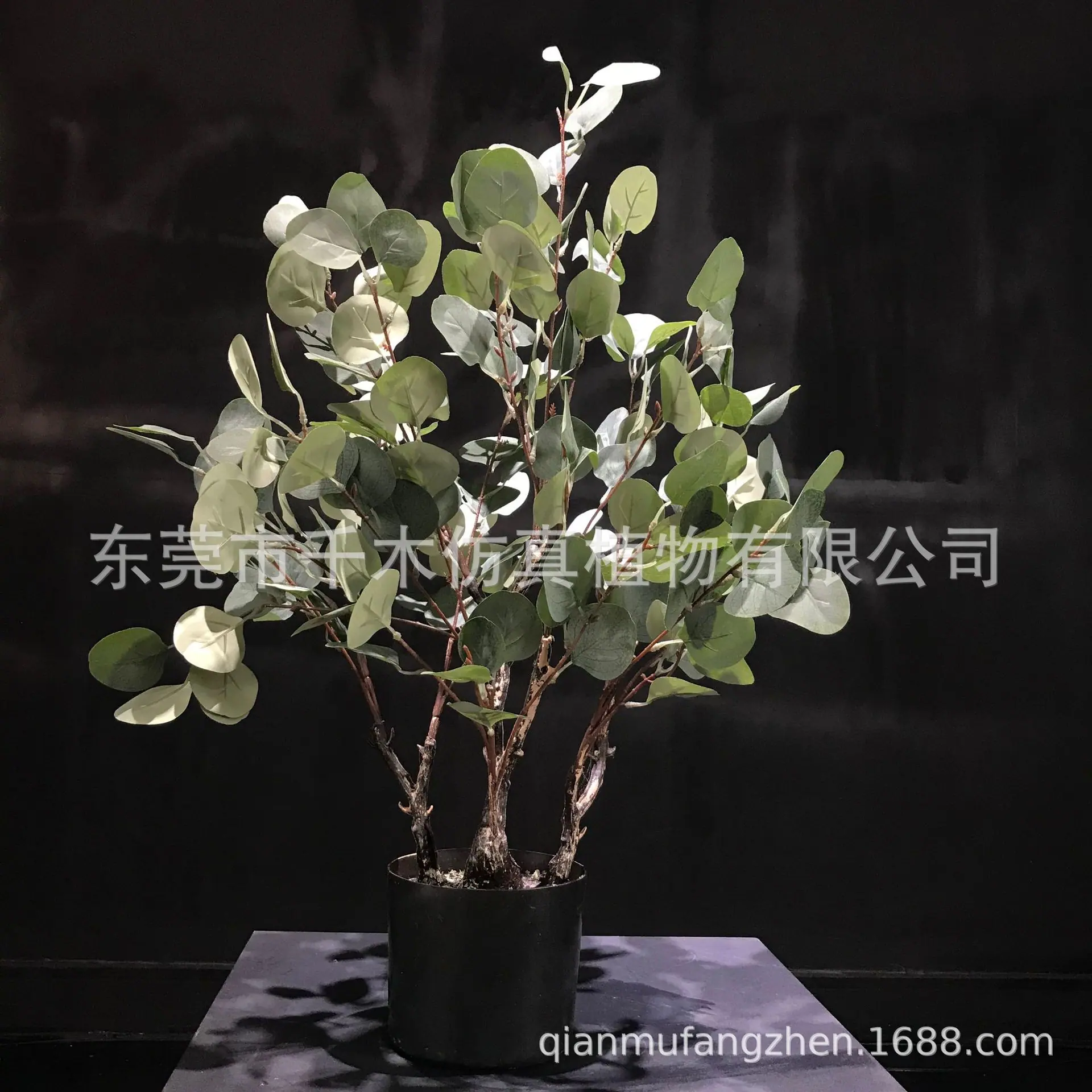 微信图片_2021121114341819