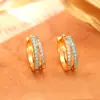 Populares Aretes Redondos de Circonita Micro-Pavimentados, de Alta Gama, Modernos y Exquisitos, Diseño de Nicho, Aretes Personalizados para Mujer