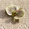 Cabeza de Flor Phalaenopsis Eva Cotton Impresa en 3D (Grande) Flor Artificial Accesorio de Regalo Accesorio para el Cabello Decoración de Ropa Exquisita Decoración de Boda