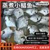 Peixe inteiro pequeno de pomfret cozido à mão personalizado, petisco fresco e macio para gatos e cães