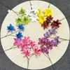 Flores Artificiales con 3 Cabezas, Lirios Adhesivos, Materiales de Decoración Floral para Fondos de Salón de Bodas Impresos en 3D, Flores Falsas Transfronterizas de Comercio Exterior