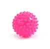 Bola Espinhosa para Massagear Pontos de Acupuntura, Bola de Pegada, Bola de PVC para Fáscia Yoga ao Ar Livre, Bola para Fitness em Casa, Bola de Ouriço para Crianças para Alongamento