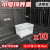 Caja de Mejora de Color para Tortugas, Caja de Cría de Tortugas Bebés, Caja de Aislamiento Blanco y Negro con Calefacción para Huevos de Tortuga, Kit de Cría de Tortugas Bebés con Placa de Sedimentación