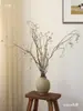 Fruta de Banyan Fruta Blanca Pequeña Flor Seca Ramo Ramas Tronco de Árbol B&B Ramas Secas Decoración de Fruta Seca Arreglo Floral Wabi-Sabi Flores Reales Secadas al Aire