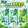 Pasta de dientes Haolai Original Té Negro Doble Menta Enzima Ultra Blanca Desechable Distribución al por Mayor Opciones Multifuncionales