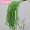 Materiais Florais para Casamento, Elementos Florais Verdes, Flores Artificiais, Folhas, Adereços Decorativos, Folhas Artificiais, Arte Floral