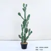 Cactus Pilares de Dragón Simulados Cactus Parásito Planta del Desierto Marroquí Decoración Suave para Paisajismo Modelo Decoración de Proyectos