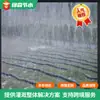 Cinta de Microaspersión Agrícola, Cinta de Aspersión, Cinta de Aspersión para Paisajismo, Cinta de Riego Multiespecificación, Cinta de Microaspersión Porosa de PE