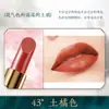 Bairo polvo de labios diy casero planta color primario polvo hecho a mano superfino color polvo material marca número de color polvo que cambia de color