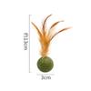 Bola de Catnip, Brinquedo para Gato Oversized, Artefato de Auto-Prazer e Alívio do Tédio, Bola de Grama para Gato para Dentição, Bastão para Gato, Suprimentos para Gato, Madeira Tianliang