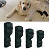Rodillera deportiva para mascotas protección para recuperación de cirugía de perro articulación equipo protector para rodilla de mascota suministros para mascotas fábrica de Shenzhen