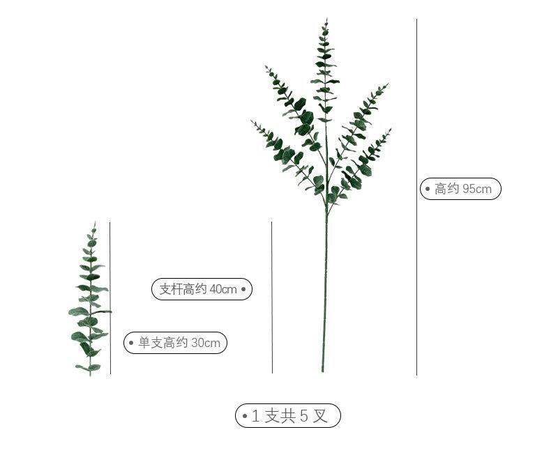 室内绿植装饰