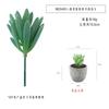 Em estoque simulação carnuda flocagem verde pinhas vasos enfeites de mesa mini bonsai verde TEMU simulação planta