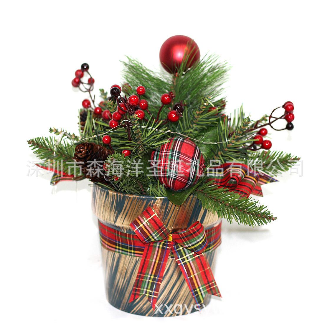 SHY-CNP10-27862.JPG