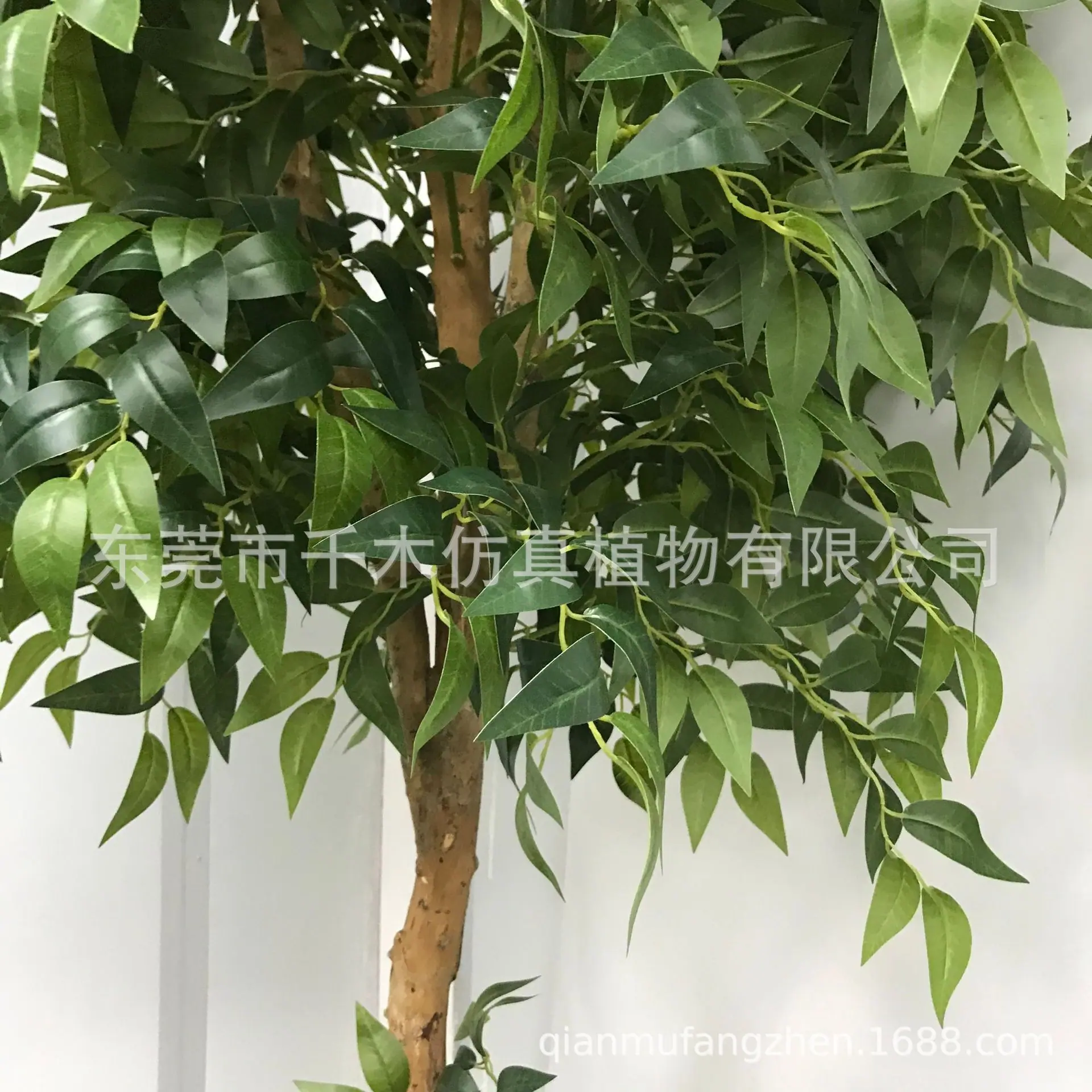 微信图片_20210528094453