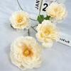 Nuevo producto: simulación de 4 flores de peonía, arreglo para boda, arreglo de hotel, material floral de simulación, decoración para sala de estar, mesa de comedor, flores hechas a mano.