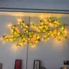 Celebridad de Internet Transfronteriza Decora Dormitorio con Luces de Hilo, Ramas de Ratán, Luces Decorativas para Habitación, Luces de Colores, Iluminación Ambiental Led