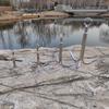 Anzuelo de anclaje para hierba acuática de acero inoxidable de tres garras cuatro garras anzuelo de anclaje garra de tigre volador anzuelo sólido para pesca en hierba acuática anzuelo de tres garras