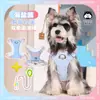 Correa para Perro Perro Bichón Corgi Arnés Perro Mascota Teddy Estilo Chaleco Grande Mediano Pequeño Shiba Inu Correa