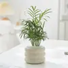 Bonsái Tocón Viejo Bonsái Cuatro Estaciones Plantas Fáciles de Cultivar Escritorio Oficina Floración Resistente a la Sequía Plantas Verdes Plantas Pequeñas en Maceta