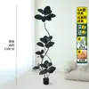 Planta Artificial Verde Grande Black Diamond Árbol de Goma Planta en Maceta de Interior para Sala de Estar Decoración de Planta de Árbol Imitación de Lujo Ligero de Gama Alta
