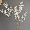 Flor Simulada Color Maillard Otoño Fénix Mariposa Orquídea Suministro de Ultramar Muestra para el Hogar Decoración de Paisaje de Boda Al por Mayor