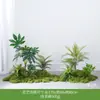 Planta Artificial Empilhada para Paisagismo Sob Escada, Samambaia & Pteri