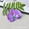 Flor de Orquídea Phalaenopsis Cabeça de Flor Simulação de Filme Impressa em 3D Flor Artificial Lembrancinhas de Festa de Casamento Decoração de Caixa de Doces Acessório de Cabeça DIY Presilha de Cabelo