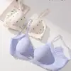 Sutiã Floral Estilo Japonês com Ácido Hialurônico Venda Direta da Fábrica Cruzamento Sudeste Asiático Tailândia Vietnã Europa América Japão Taiwan Coreia