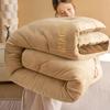 Edredón de invierno cálido acolchado de terciopelo de doble cara, edredón básico para dormitorio de estudiantes, edredón de invierno individual, ropa de cama básica al por mayor