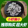 Camarones Enteros Frescos para Uso Comercial, Caja Entera de Camarones Marinos de Qingdao, Venta al por Mayor de Mariscos Congelados, Camarones Verdes Extra Grandes de 2 kg, Soporte Independiente