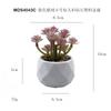Flocking Roxo tamanho pequeno Immortaceae Simulação Falso Planta Carnuda Em Vaso Planta Verde Bonsai Decoração de Mesa Presente Planta Simulação