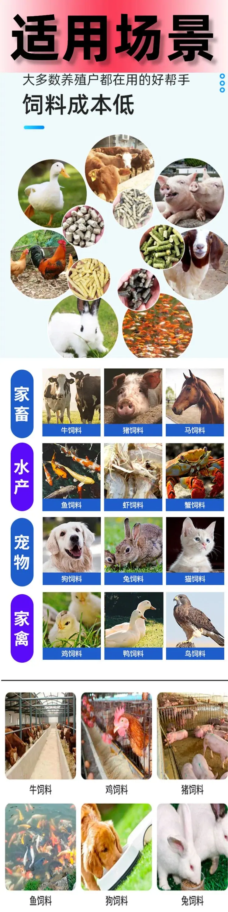 颗粒机33.jpg