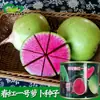 Semillas de Rábano Xinxiamei, de Piel Verde, Corazón Rojo, Tiernas, Crujientes, Dulces y Tiernas Semillas de Rábano Cultivadas en Tierras de Cultivo y Huertos