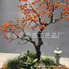 Árbol de Caqui Simulado, Árbol de los Deseos, Árbol Frutal Falso, Decoración Exterior, Árbol de Forma Simulada, Vestíbulo de Hotel, Paisajismo de Ventana de Empresa