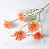 Simulación 5 Crisantemo Holandés Manzanilla Margarita Pequeña Flor Persa Boda Hogar Decoración Fotografía Venta al por Mayor