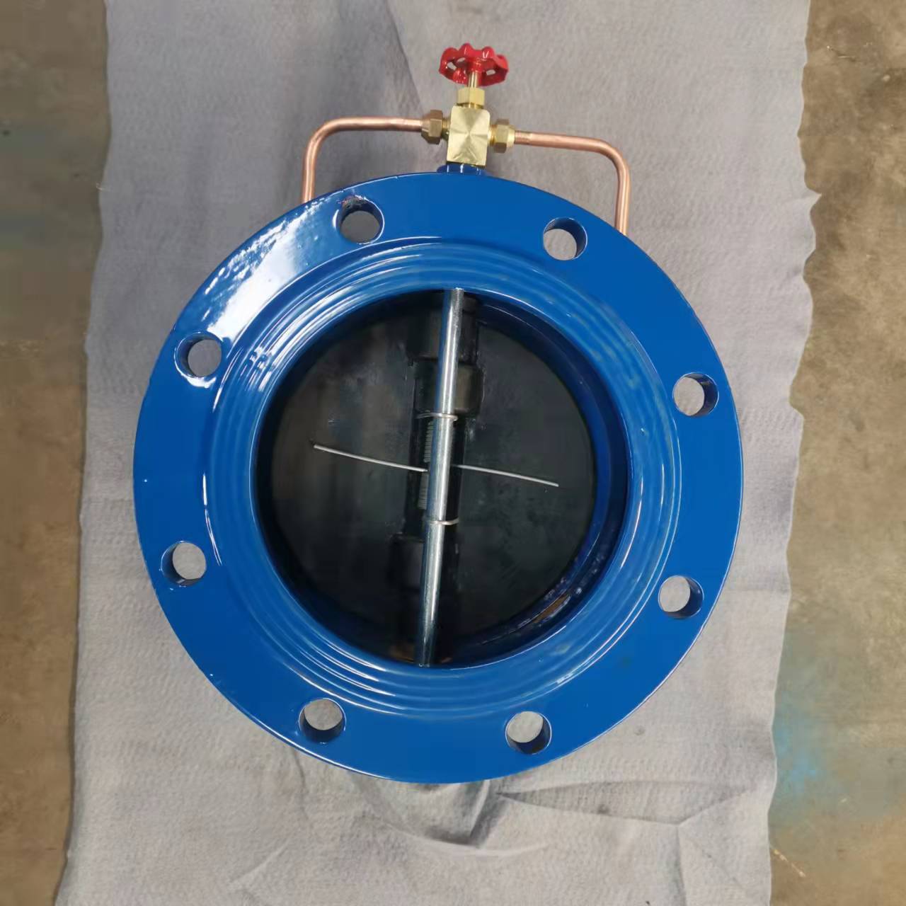 蝶式止回阀3.jpg